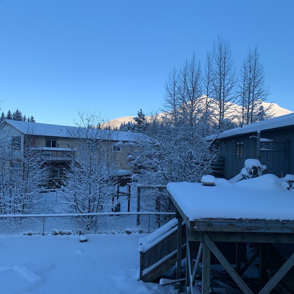 Meet your Posher, Tanya - Picture 4 of 5